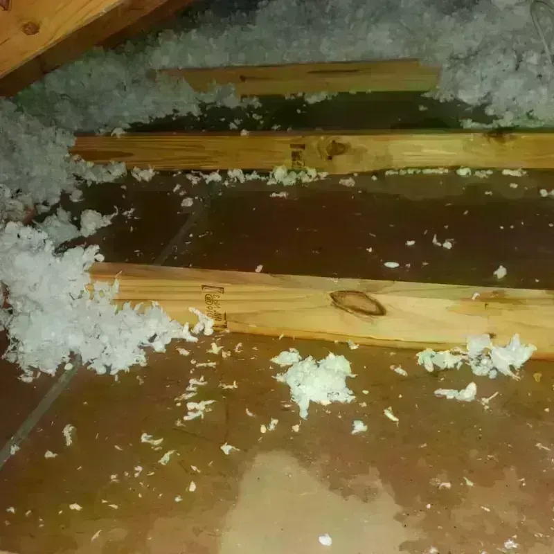 Attic Water Damage in Butler, IN